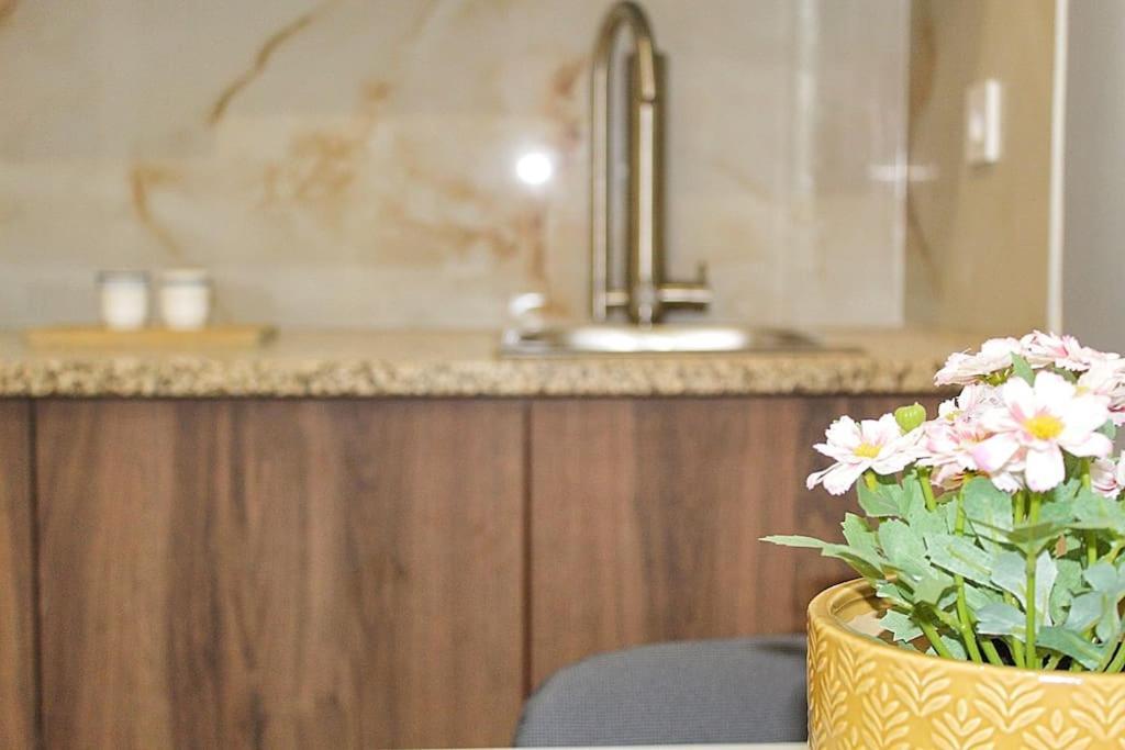 Oporto Sweet Downtown 2 Apartment Luaran gambar
